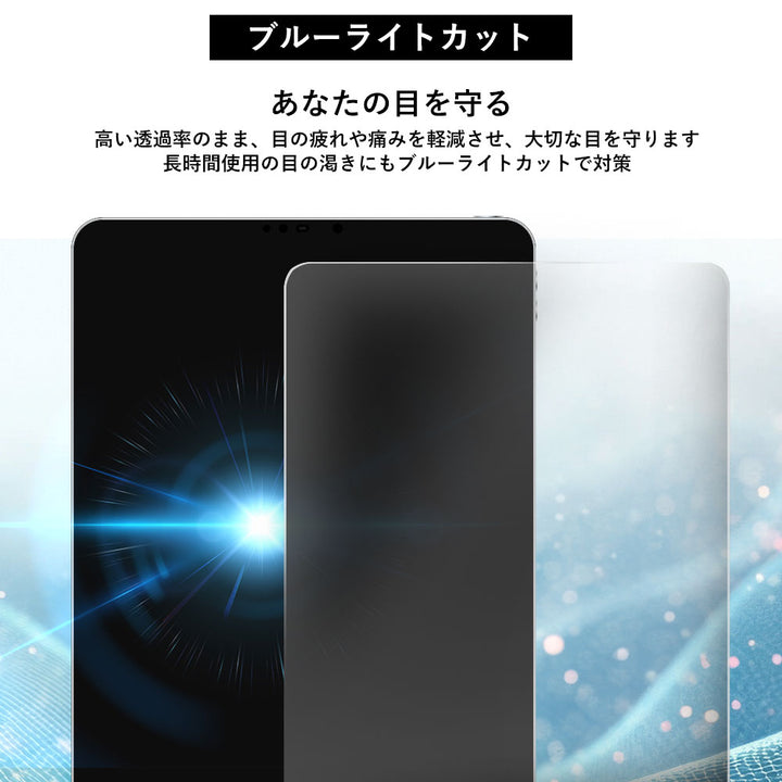 アクセサリー iPad液晶保護 樹脂フィルム（2枚入り）