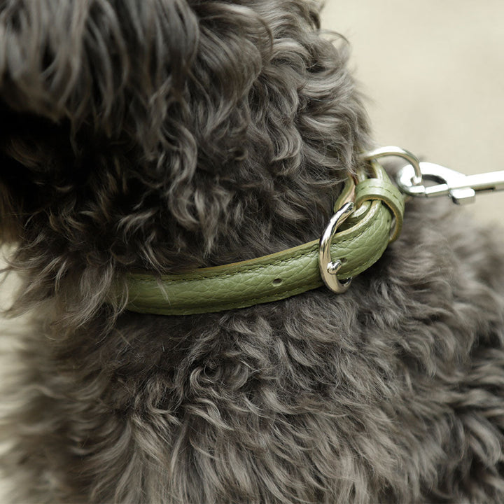 ペット 首輪 本革 6色 イタリアンシュリンクレザー ぷっくり