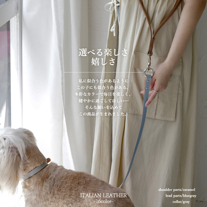 Pet Lead Parts Genuine Leather 16 Colors Italian Shrink Leather