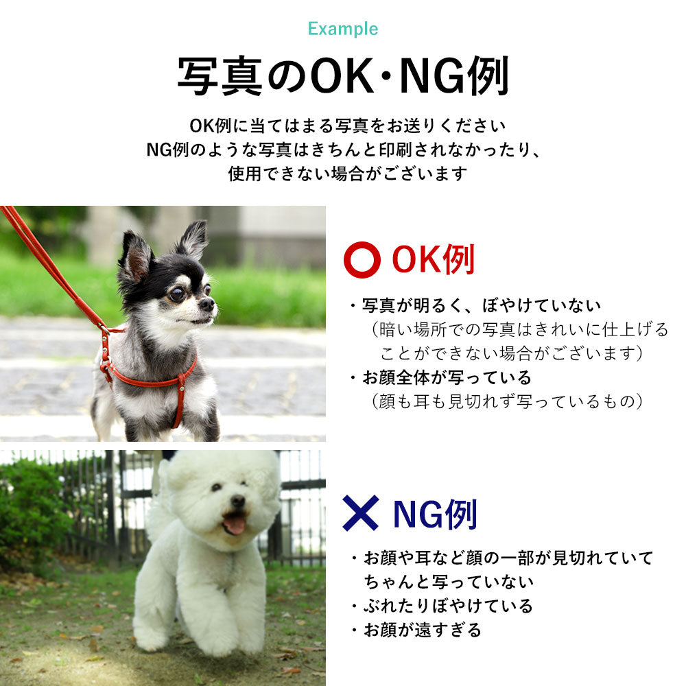 本革 32色 イタリアンシュリンクレザー 推しの顔チャーム缶バッチ付き 背面ケース iPhoneシリーズ