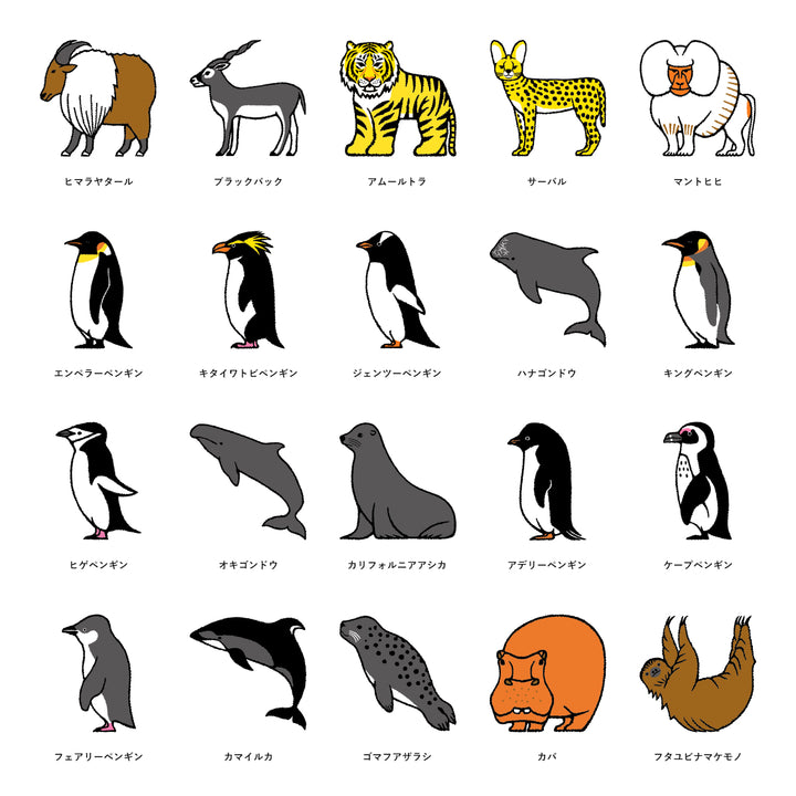 Adventure World × COVERARY Étui arrière personnalisé collaboratif