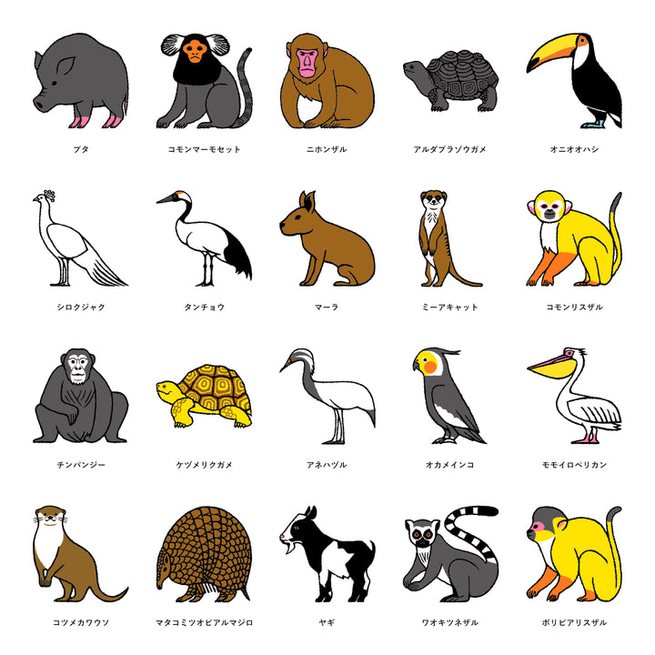 Adventure World × COVERARY Étui arrière personnalisé collaboratif